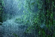 Rain: What Extreme Weather Teaches Us About Tomorrow