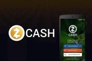 Zcash's "Historic Surge": Really? What's the Catch?
