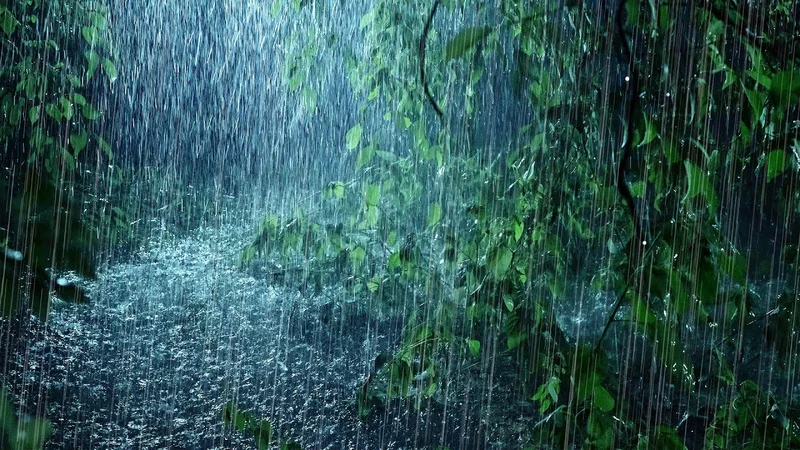 Rain: What Extreme Weather Teaches Us About Tomorrow